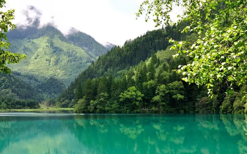 新型智能系统